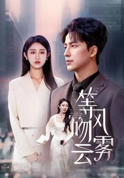 凌晨四点的收音机 治愈剧集海报